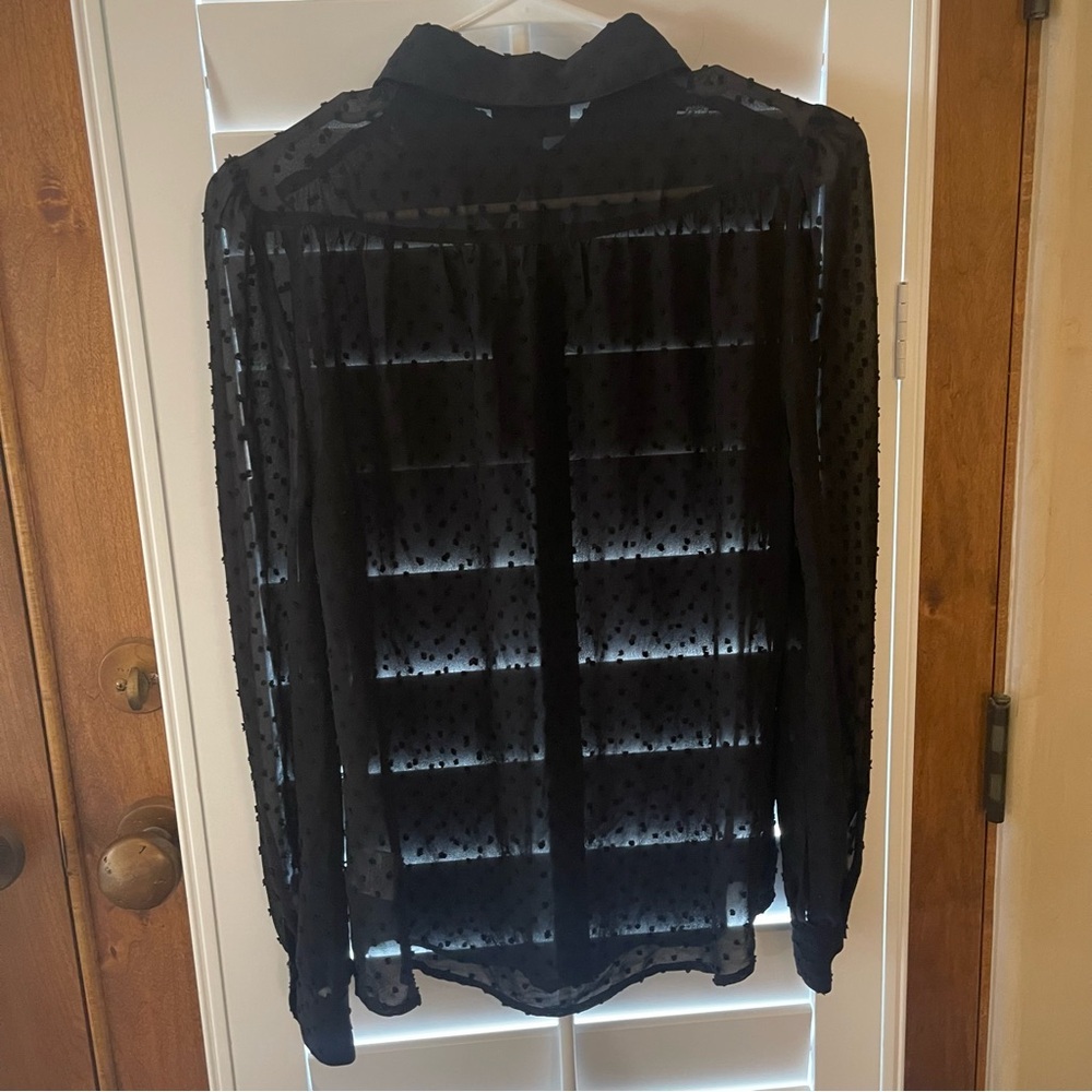 Modcloth Black Long-Sleeve Sheer Polka Dot Blouse, Small - Picture 11 of 12